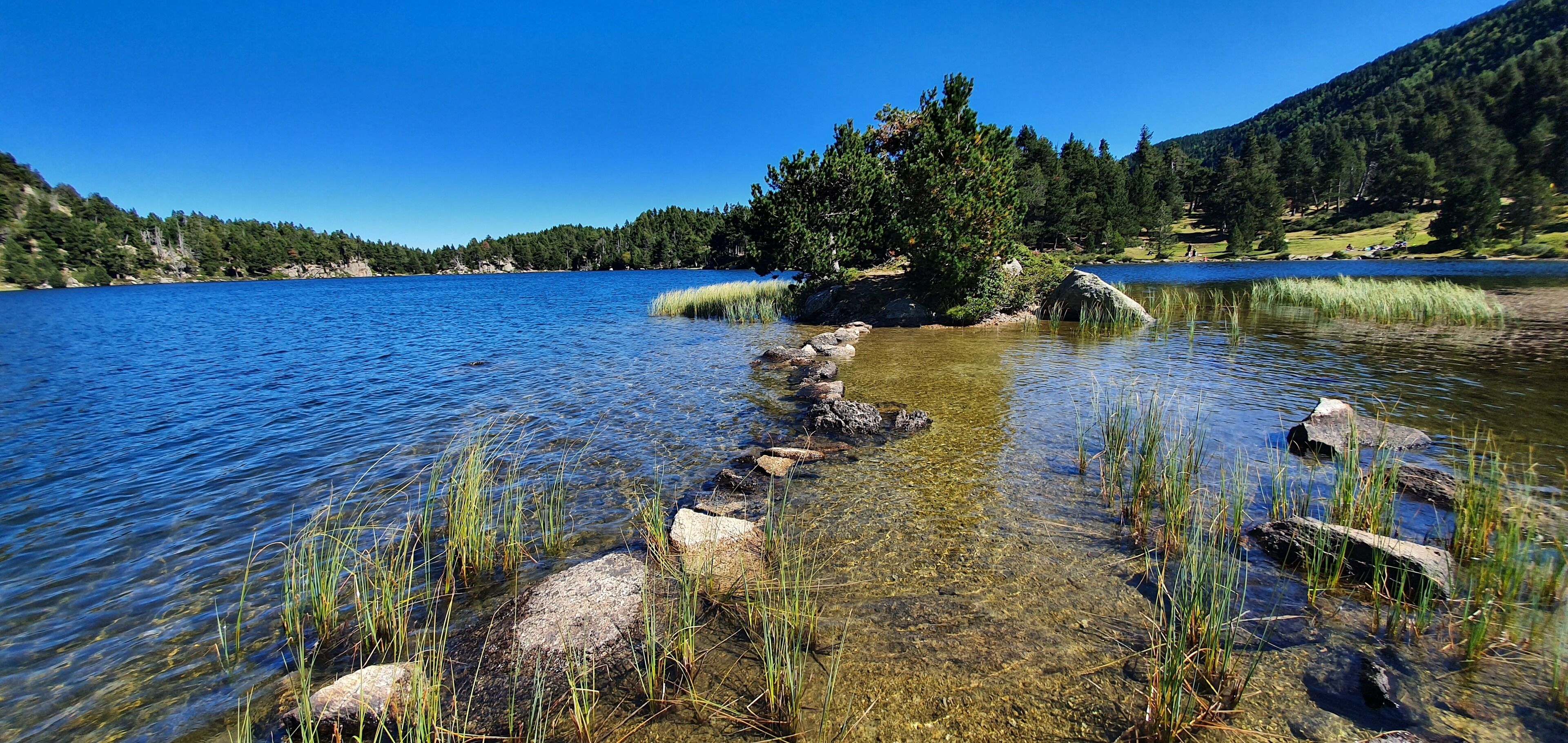A clear lake with a rocky shoreline and a small island with trees.