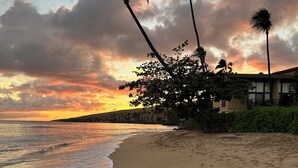 Uma praia com palmeiras e um edifício com varanda.