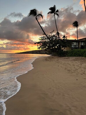 On the beach, sun loungers, beach towels - Oceanfront Maui dream, relax and unwind at Sugar Beach, Kanai A Nalu #319 (Wailuku)
