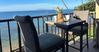 DAZZLING OCEANFRONT! Quiet, Secluded Coastal Retreat! Sugar Beach Access!