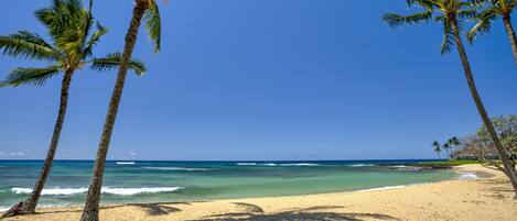 Beach nearby, sun-loungers, beach towels