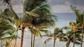 A beach view with palm trees and a lawn with sun loungers. - Poipu Condo!  Newly updated - Sleeps 5 - 5 minute walk to the beach! (Koloa)