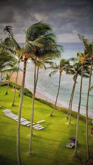 Property grounds - Poipu Condo!  Newly updated - Sleeps 5 - 5 minute walk to the beach! (Koloa)