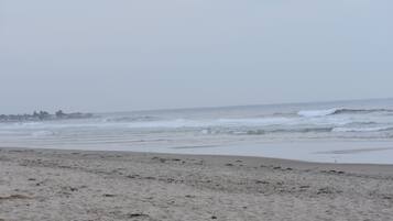 Playa en los alrededores y camastros