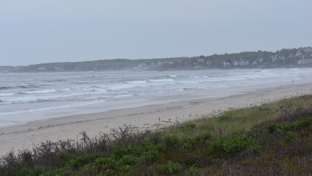 A beach with waves, a grassy foreground, and a distant hill with buildings.