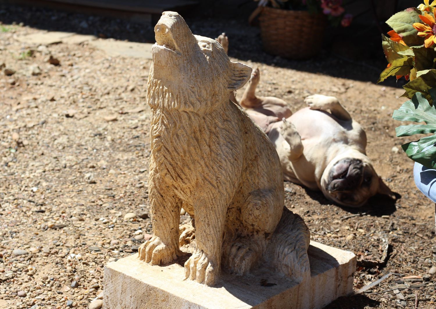 Butterfly Room on Second Floor