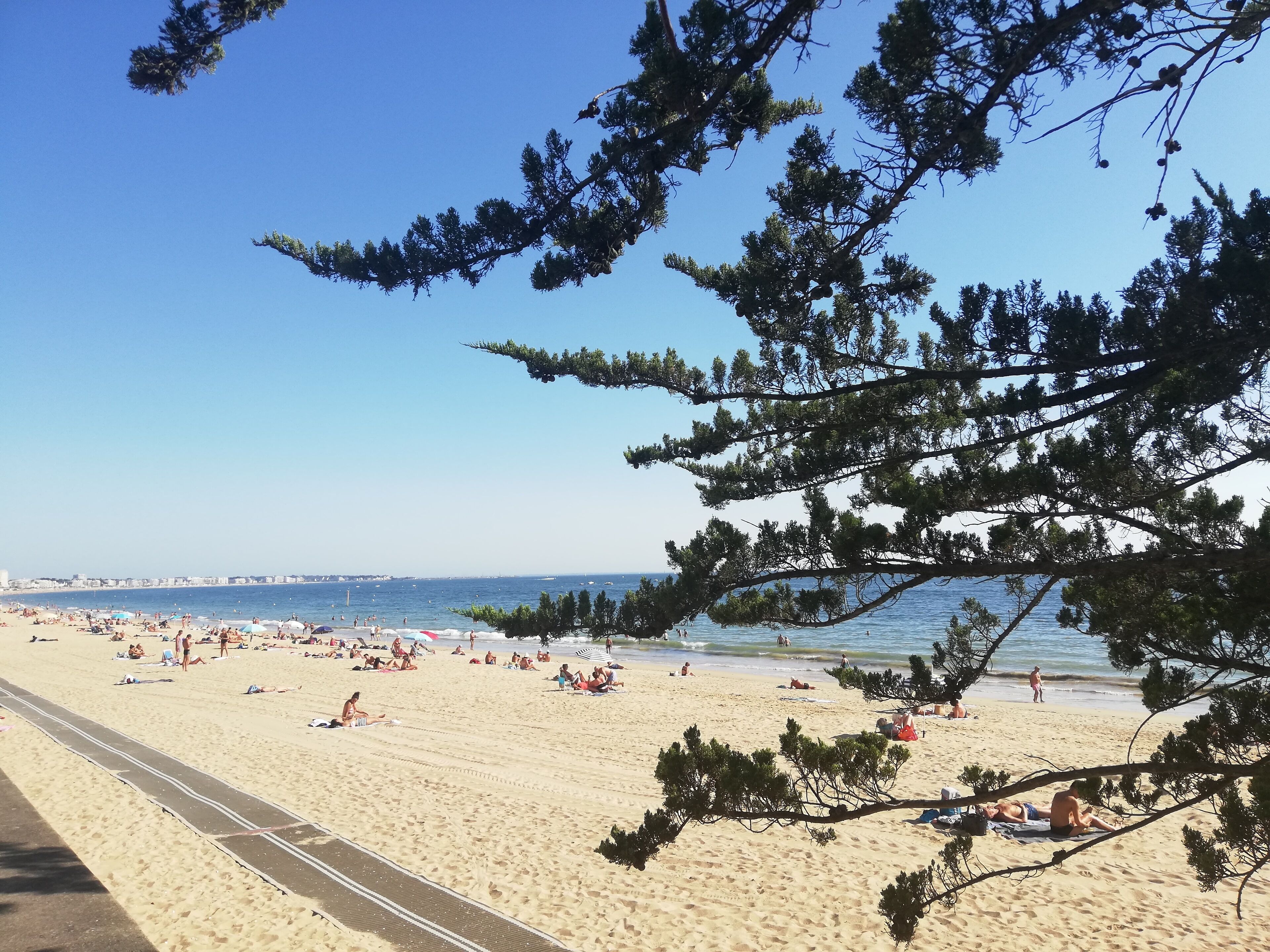 Beach