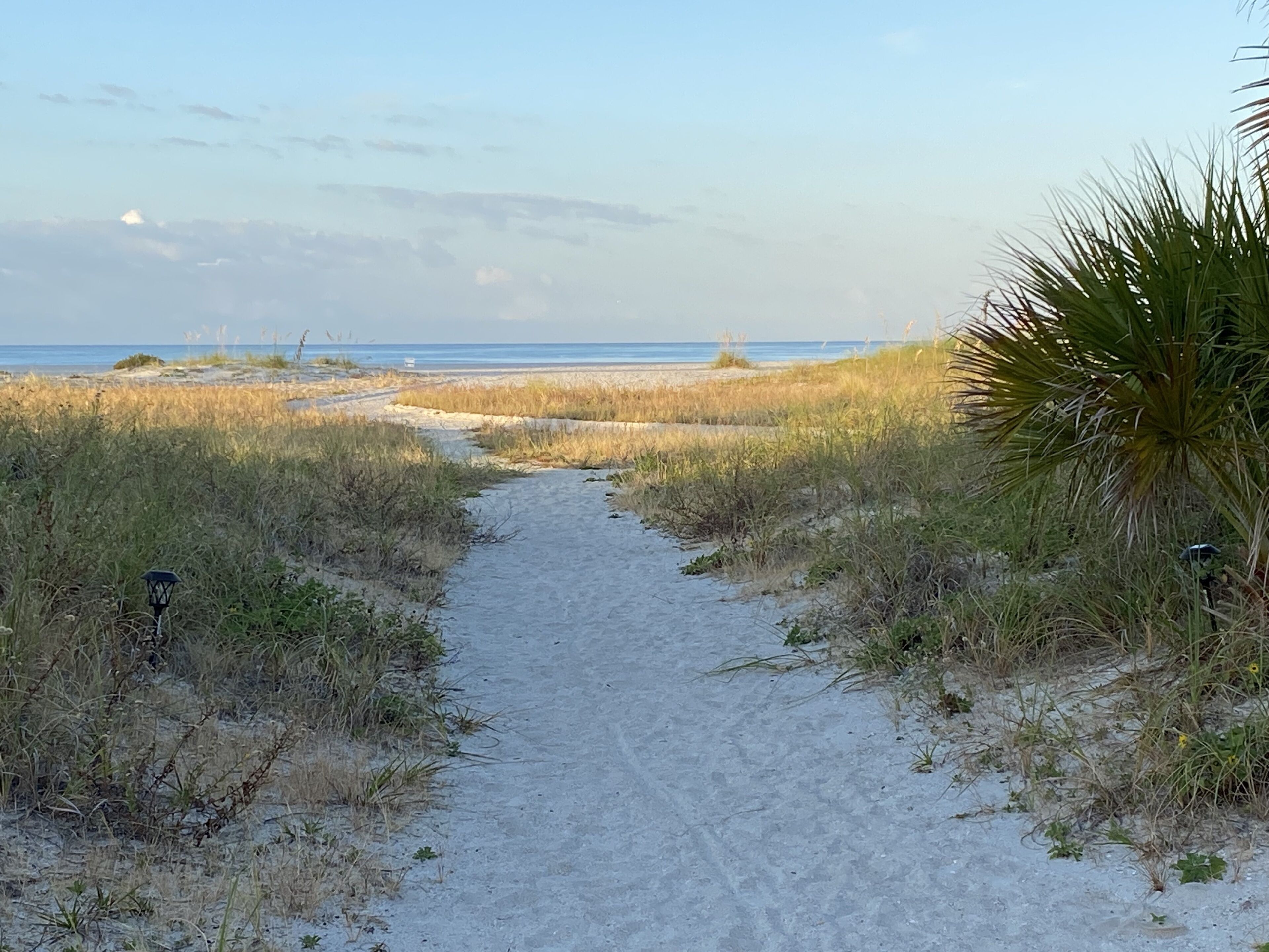 Sur la plage, chaise longue, serviettes de plage