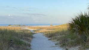 Uma trilha de areia que leva a uma praia com vegetação rala e céu claro.