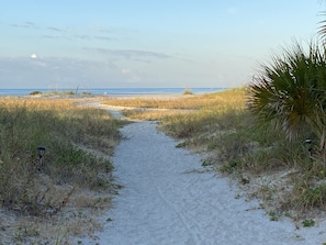 En la playa, camastros y toallas de playa