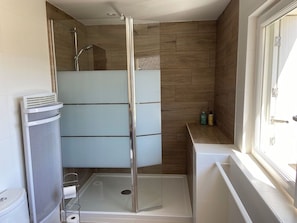 Shower, towels, toilet paper