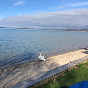 Am Strand