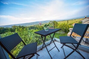 Outdoor dining - Villa Vida (Zmijavci)
