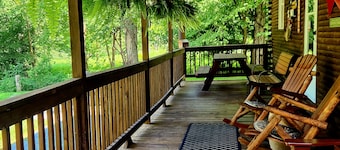 Relaxing Mountain Getaway with excellent trout fishing 