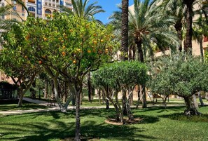 Àrea exterior de l'allotjament