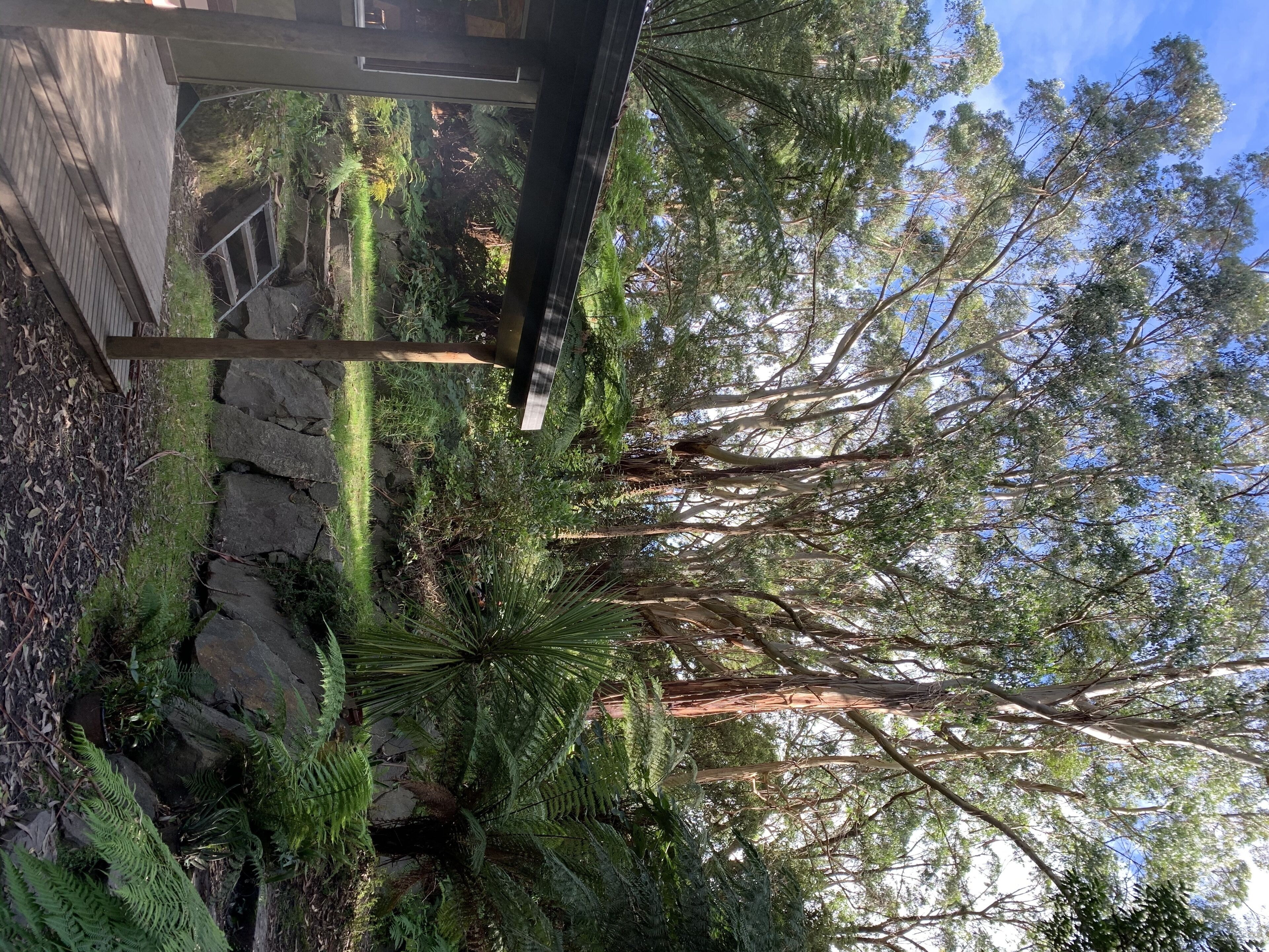 Rainforest retreat 7 minutes from the beach and next to Cape Otway National Park