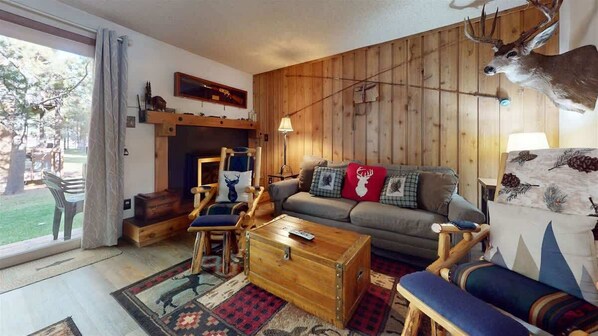 TV, fireplace, offices