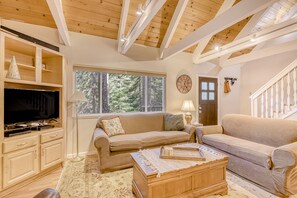 TV, fireplace, books