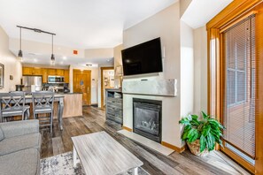 TV, fireplace, books