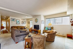 TV, fireplace, books
