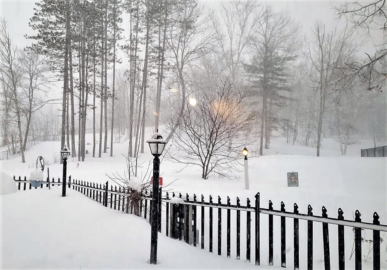 A snow-covered pathway with a black metal fence and street lamps.