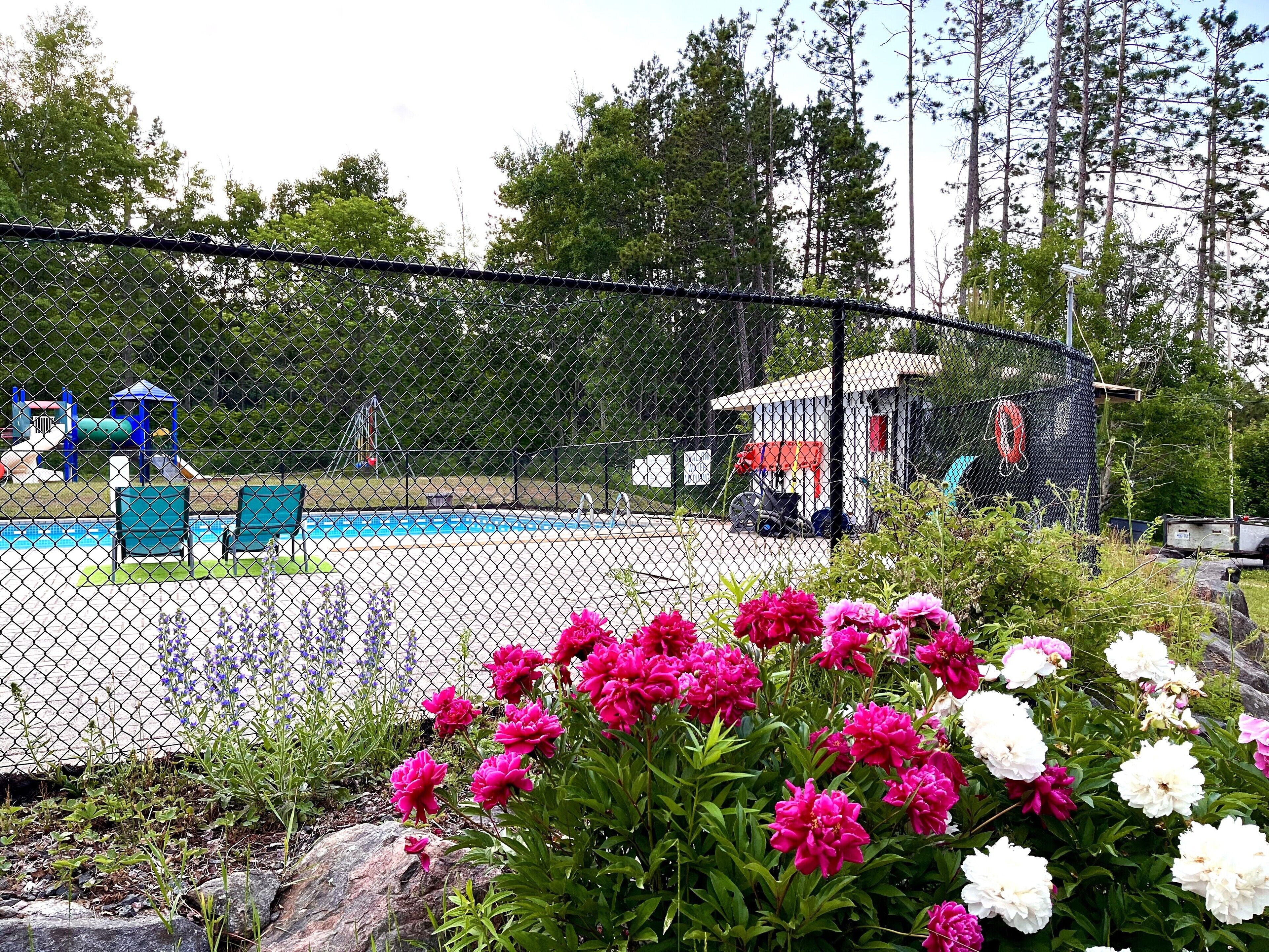 室內游泳池和季節性室外游泳池