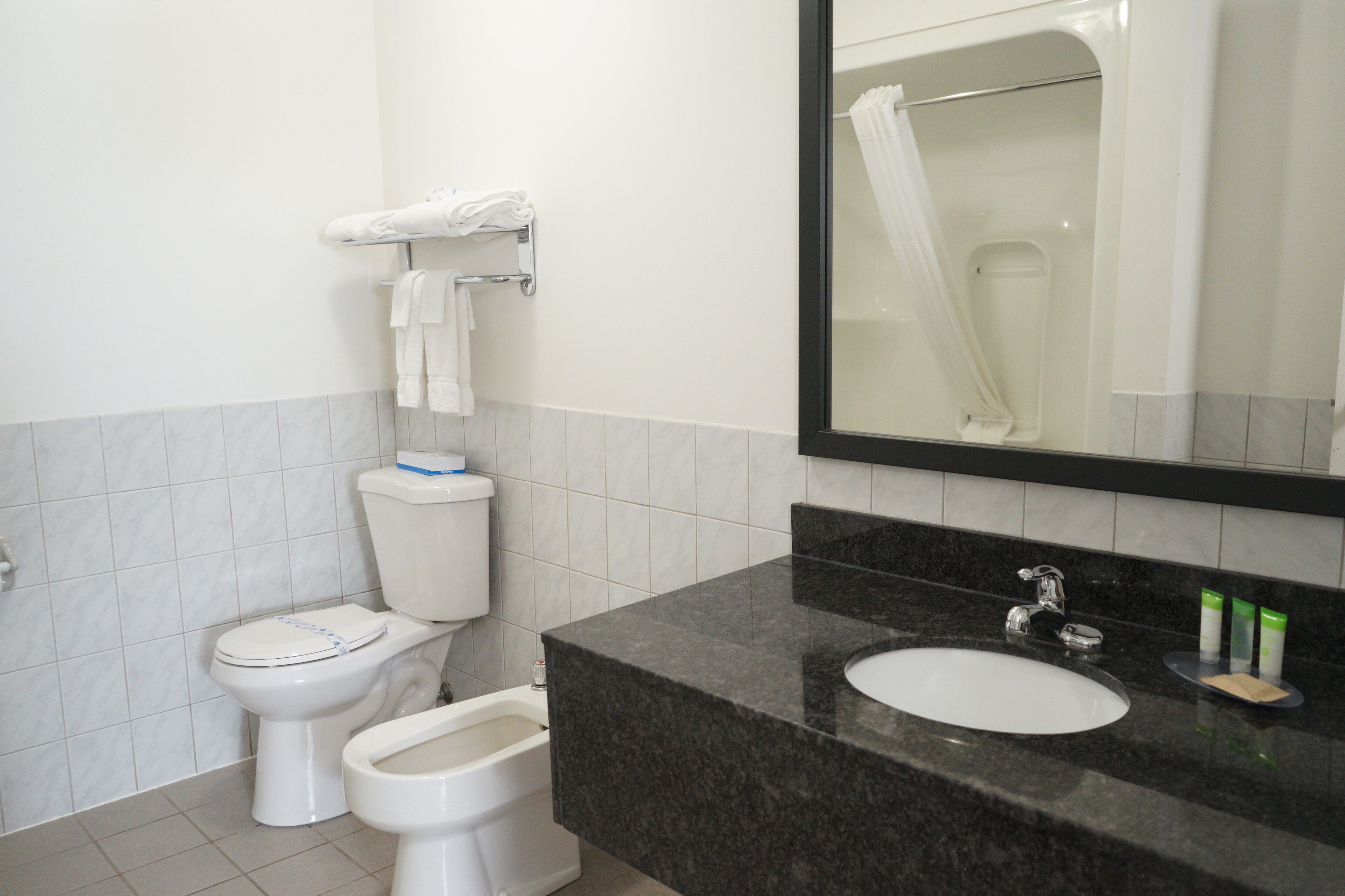 A bathroom with a toilet, bidet, and sink, a mirror, and a shower curtain.