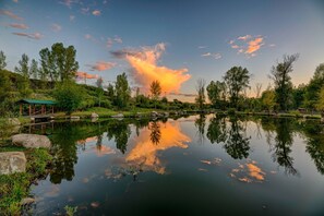 Miscellaneous - Riverfront, Hot Tub, Pond, Fire Pit, Stables, Deck, Near Downtown Pagosa! (Pagosa Springs)