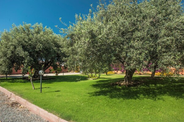 Property grounds - Apartment "Alice" with Mountain View, Wi-Fi, A/C, Terrace & Garden (villa san pietro)