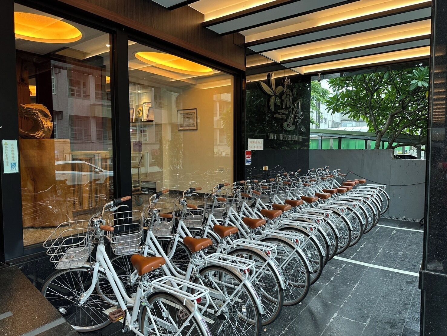 A row of white bicycles with brown seats parked outside a building with large windows.