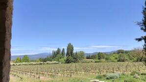 A vineyard with rows of grapevines under a clear blue sky. - La Verrière, Très Jolie Chambre Indépendante Avec Courette Abritée (Bonnieux)