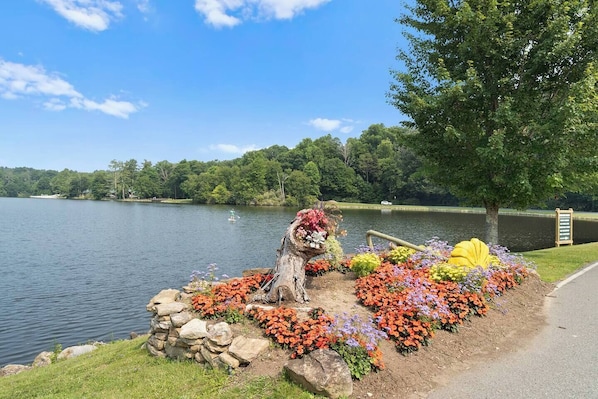 Área da propriedade