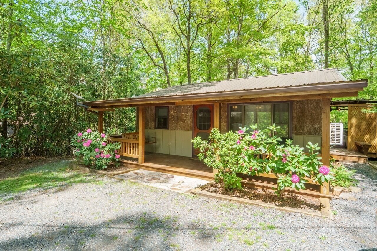 A wooden cabin with a porch, surrounded by greenery.