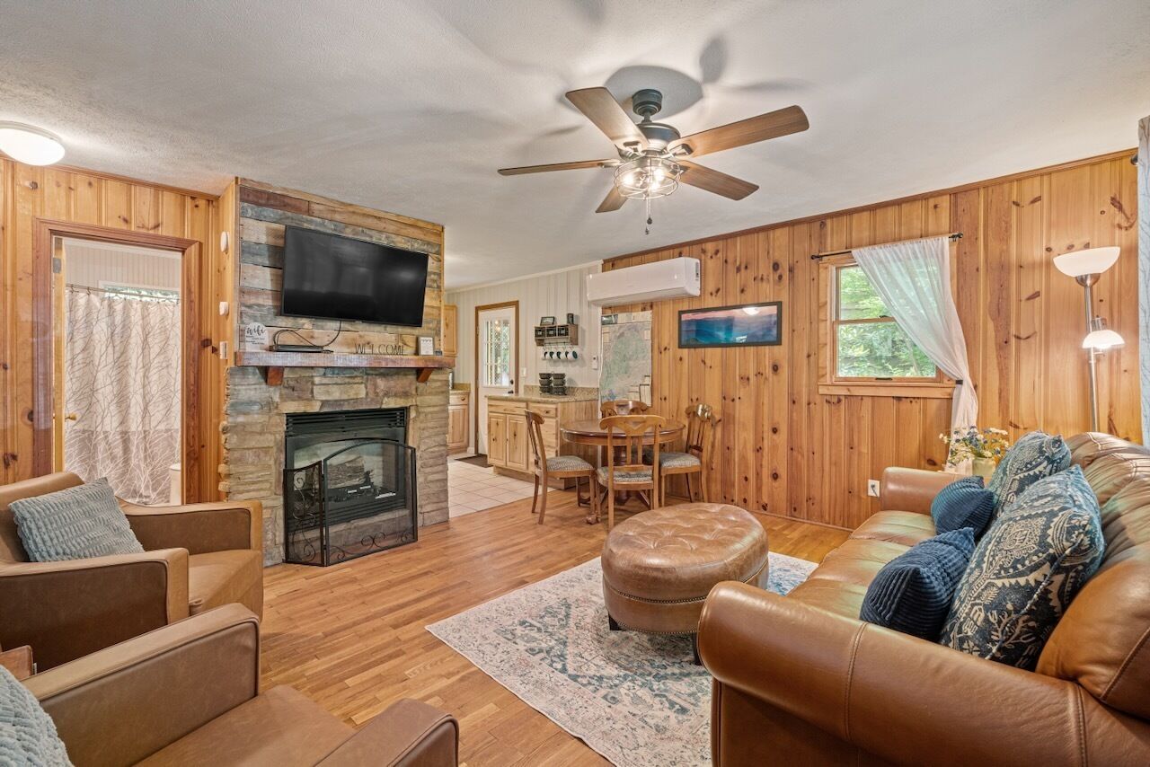 TV, fireplace, DVD player