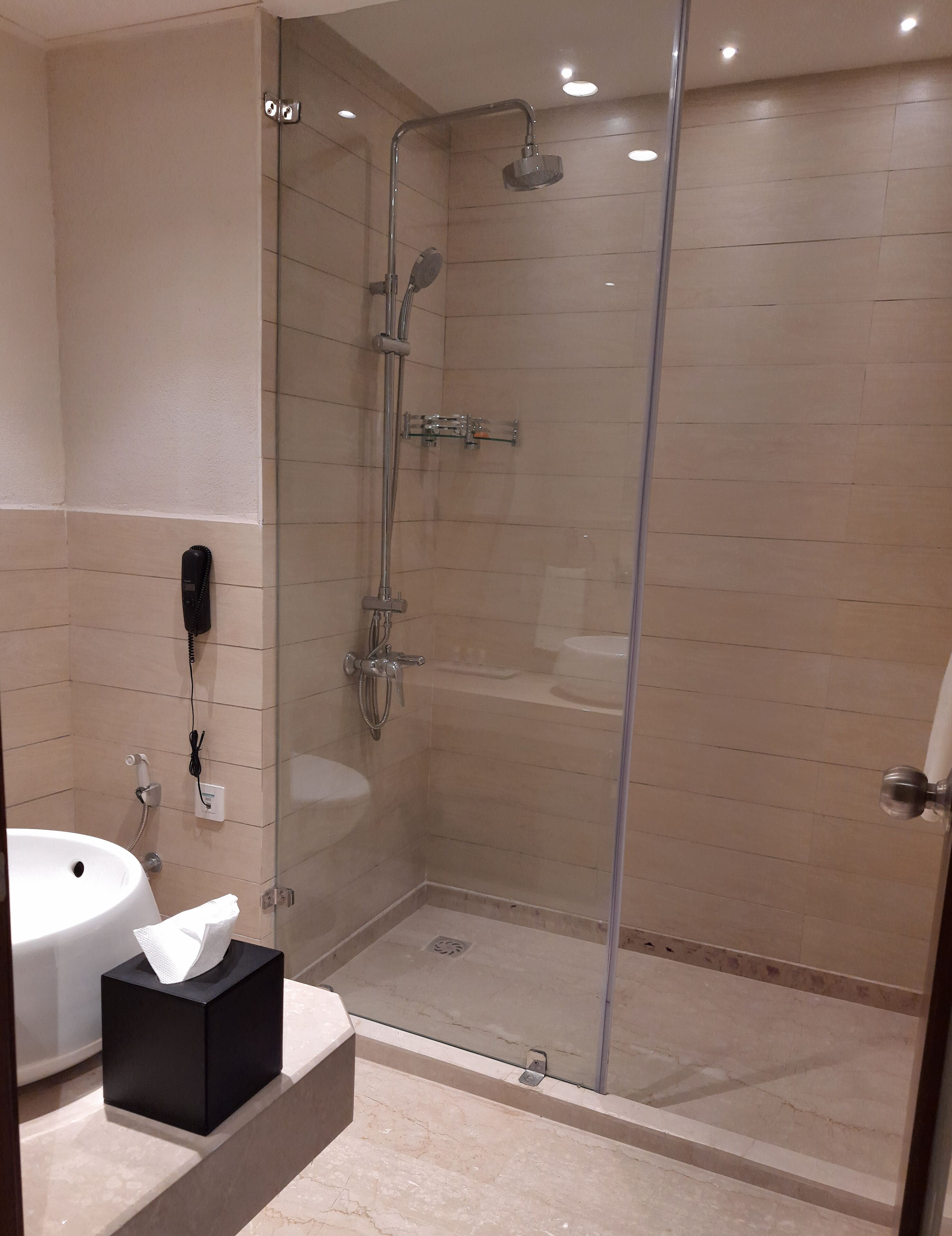 A modern bathroom with a glass-enclosed shower, a white sink, and a black tissue box on the counter.