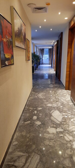 Interior - Jay Clarks Exotica (Nahan)