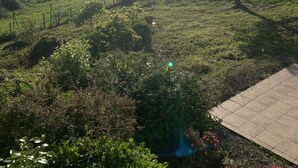 Een zonnig landschap met glooiende heuvels, een omheining en diverse begroeiing.