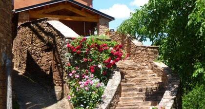 Country house in the Grand Causse park 50km from Albi, an UNESCO listed city