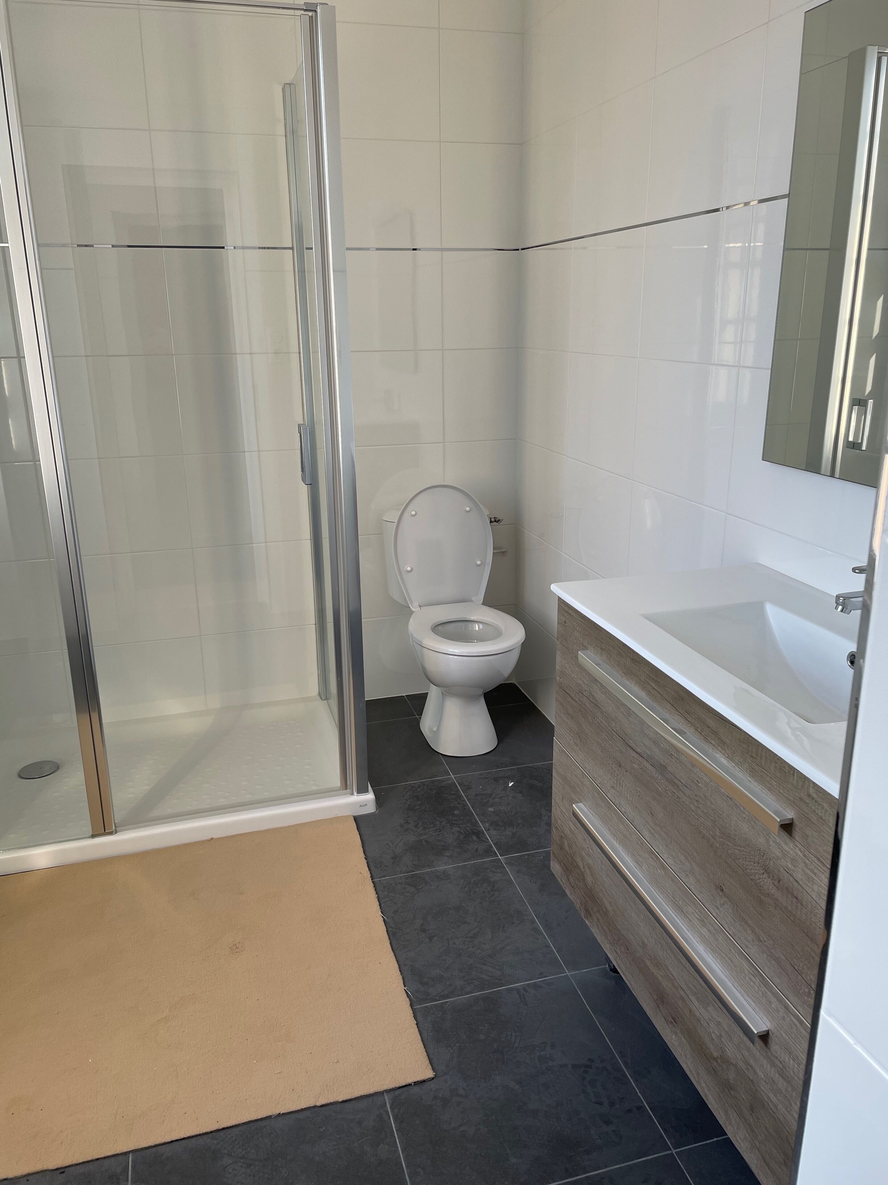 A bathroom with a glass shower enclosure, a toilet, a sink, and a mirror.