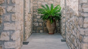 Um corredor de pedra estreito com uma grande planta em vasos no centro.