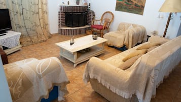 Smart TV, chimenea y libros