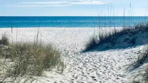 Une plage de sable avec une végétation clairsemée et un ciel bleu dégagé.