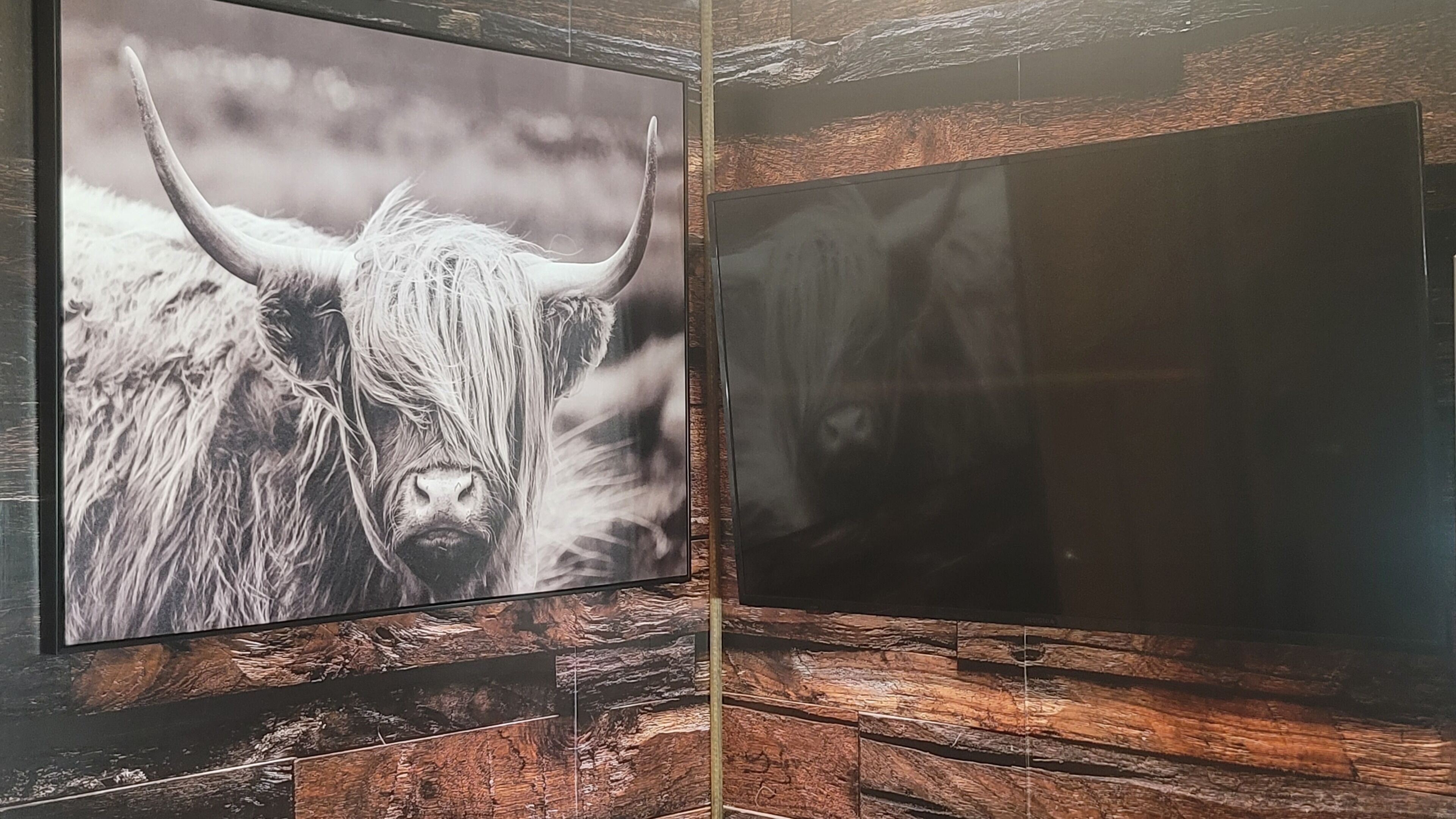 Deux photos encadrées représentant un yak, accrochées à un mur en bois.