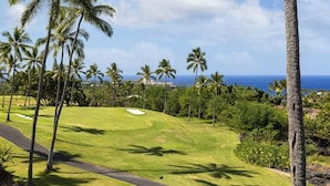 A golf course with palm trees, a clear sky, and a view of the ocean.