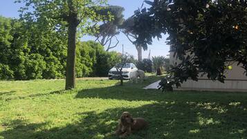 Une zone herbeuse avec un arbre et un chien allongé sur l’herbe.