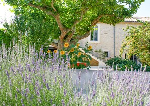 Terrein van de accommodatie