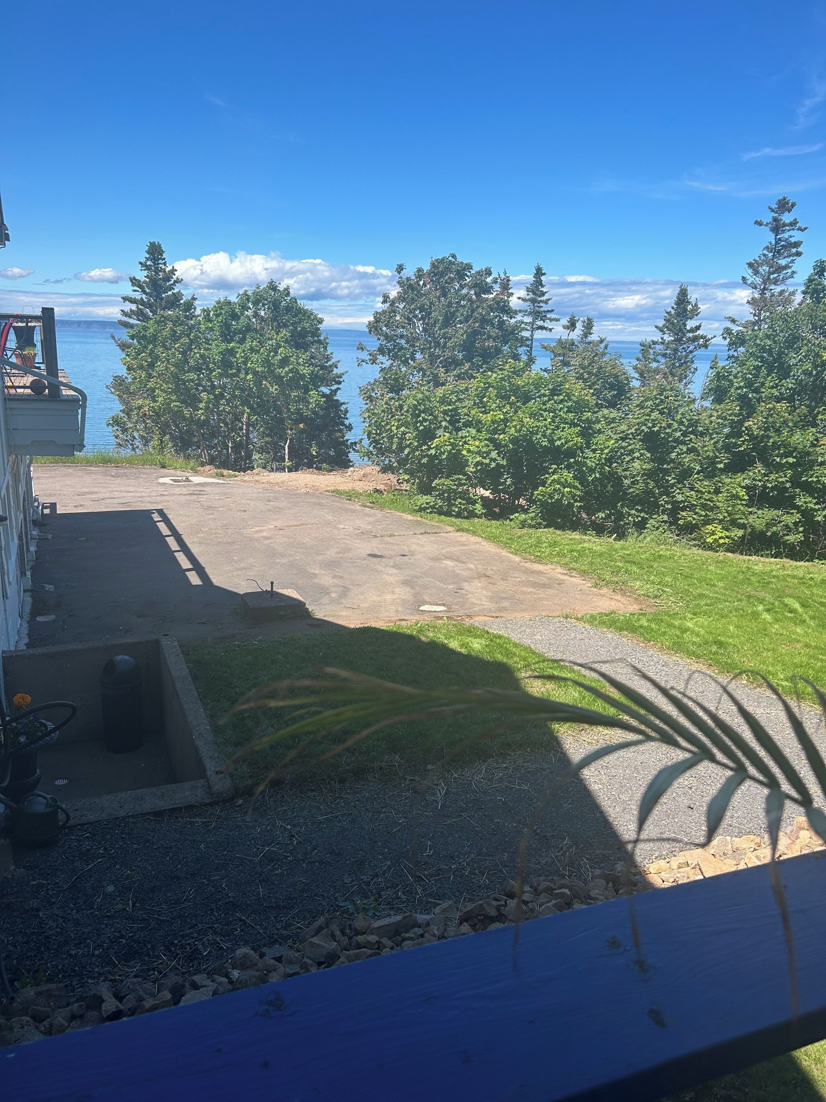 A paved driveway leading to a grassy area with a view of the sea and trees.