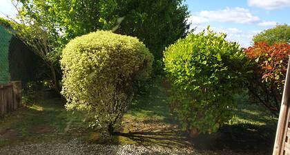 Appartement Avec Terrasses, Équipements Entièrement Neufs