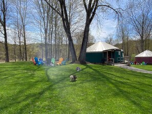 A grassy area with a yurt, colorful Adirondack chairs, and a dog.