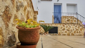 Una maceta de terracota con una planta suculenta en un patio de piedra.